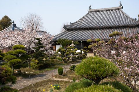 福田寺 境内の様子
