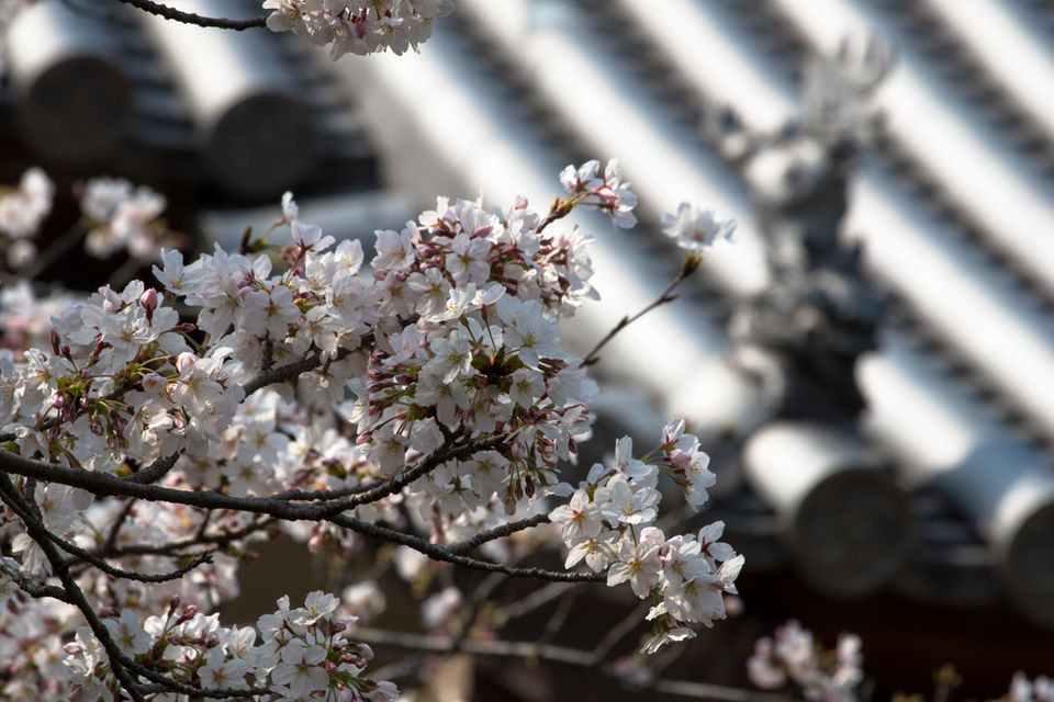 福田寺 境内の様子