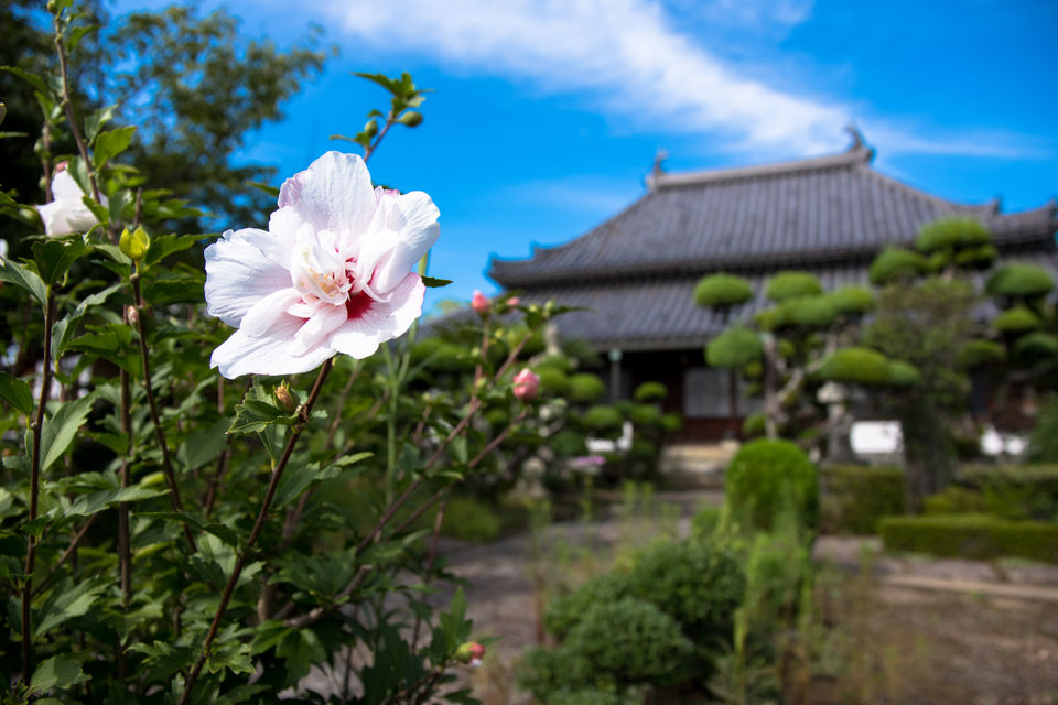 福田寺 境内の様子
