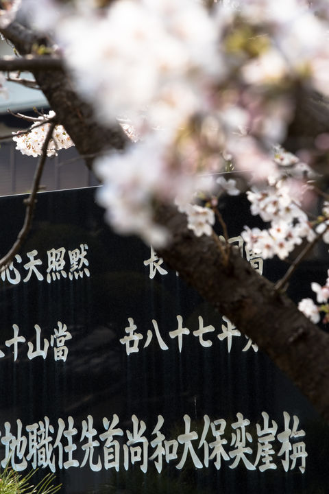 福田寺 境内の様子