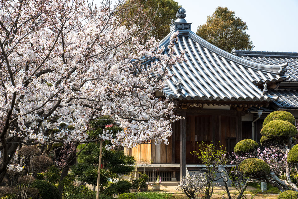 福田寺 境内の様子