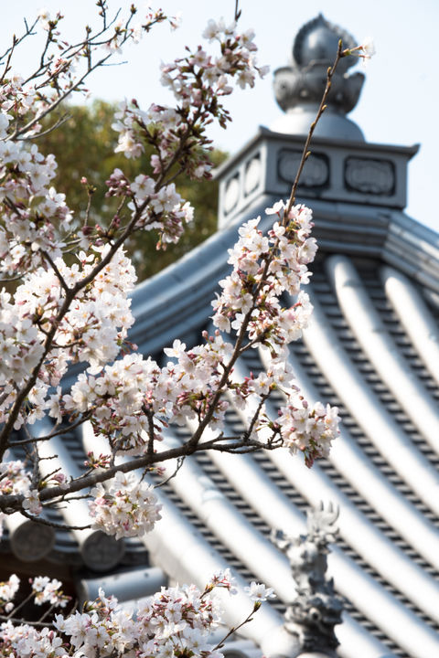 福田寺 境内の様子